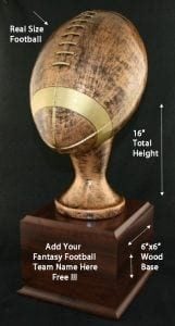 Fantasy Football Football Trophy