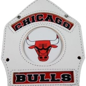 Basketballl Chicago Fire Department Helmet Shield