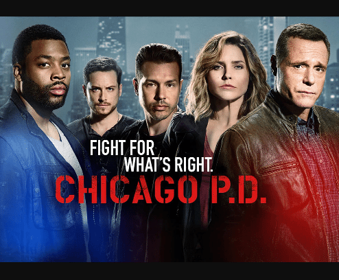 Image result for tv show chicago pd